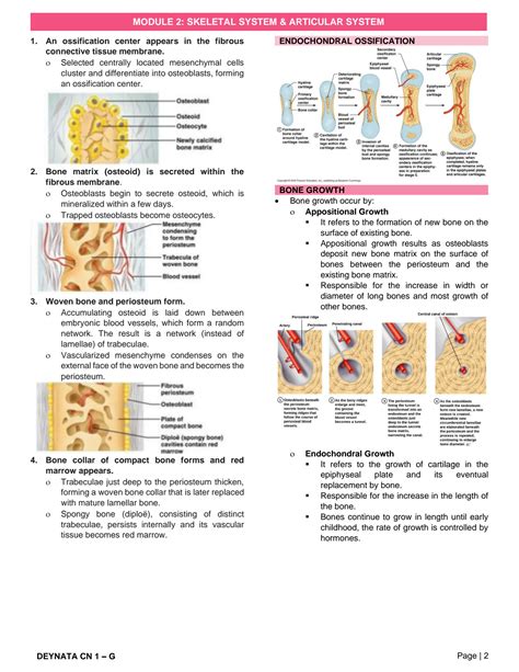 Solution Hap Version 2 Module 2 Skeletal System And Articular System