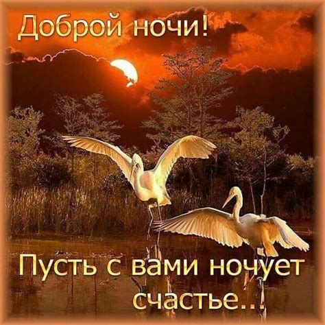 Pin by Elena Dynaeva on Разное | Life is beautiful, Good night, Night