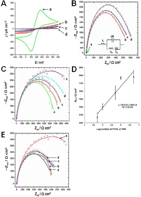 A Cyclic Voltammograms And B Nyquist Plot Z Im Vs Z Re Of
