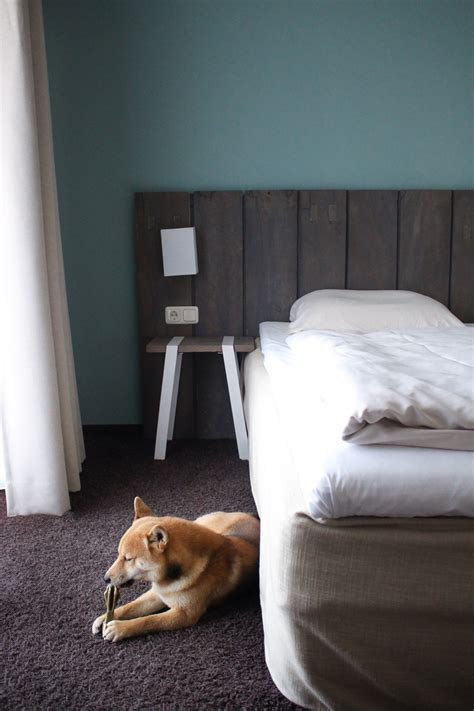 Ostsee Urlaub Mit Hund Designhotel Lifestylehotel Mit Hund Hotel Sand