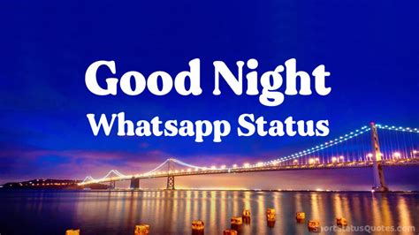 Good Night Whatsapp Status And Captions Ssq