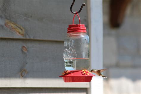 Mason Jar Style Glass Hummingbird Feeder 88156 Pinebush Home And Garden