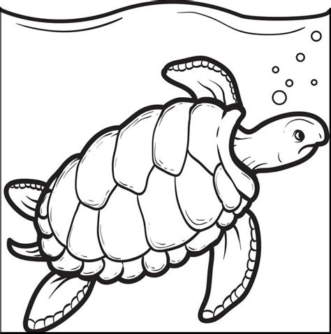 Sea Turtle Coloring Book Page Coloring Pages