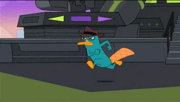 Perry The Platypus GIFs - Find & Share on GIPHY