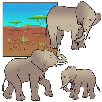 African Elephant Clipart