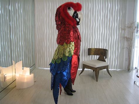 Scarlet Macaw Professional Quality Brilliant Sparkling Macaw Guacamayos Loros Papagayo