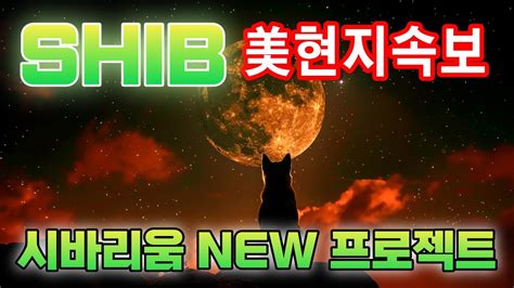 시바이누 코인 美현지속보 시바리움 New 프로젝트 발표 시바이누 시바이누코인 시바이누코인전망 시바이누호재