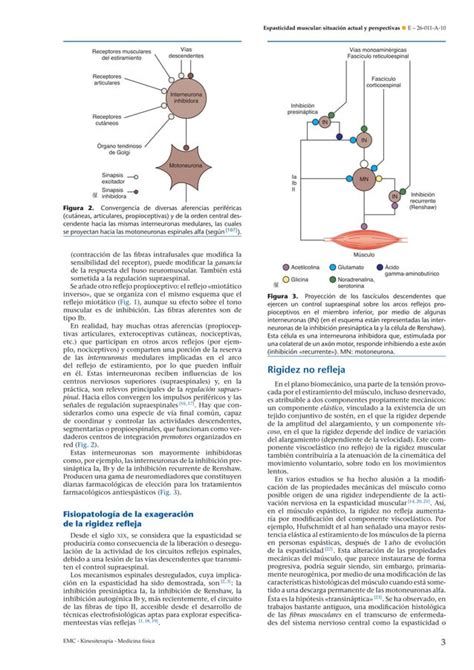 Espasticidad muscular situación actual y perspectivas PDF