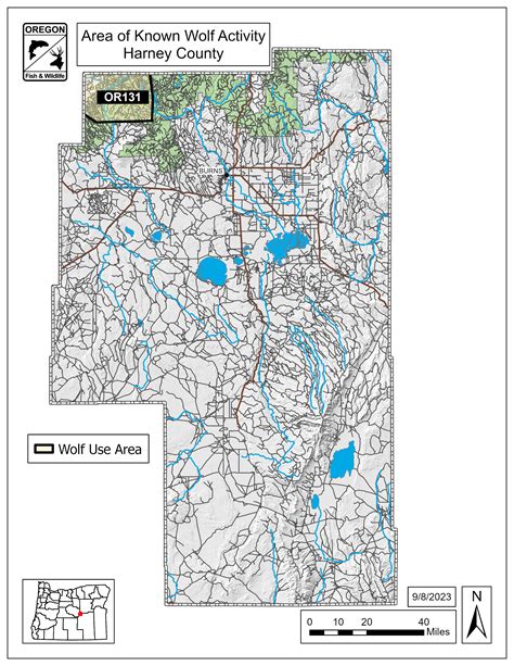 Specific Wolves And Wolf Packs In Oregon Harney County