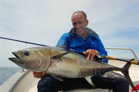 La pêche aux pêcheurs le thon 100 leurres Le thon rouge au popper