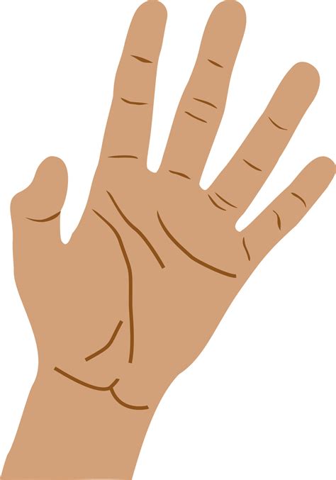 Hand Open Palm Gesture Finger Hand Sign 10862381 Vector Art At Vecteezy