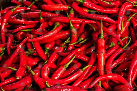 Hot Chilli Pepper Ring Of Fire Organic Premier Seeds Direct