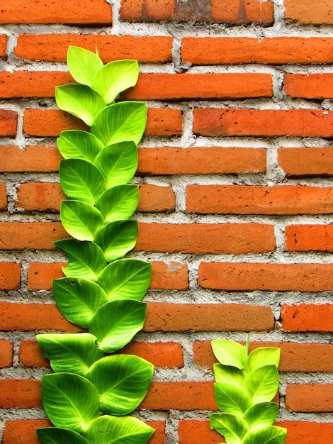 Una Pared De Ladrillos Con Hojas Verdes Foto Premium