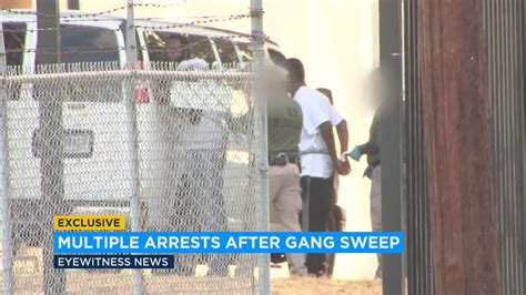 Legends Crips Gang Members Arrested In Gang Sweep In La Inglewood