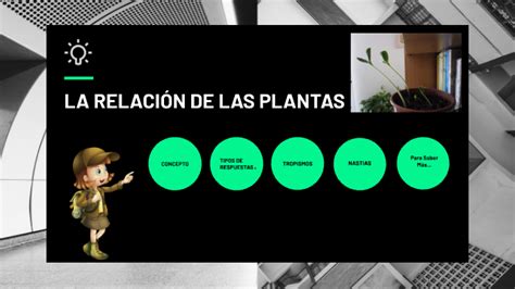 La RelaciÓn De Las Plantas By Séfora Berrío Carbajal On Prezi