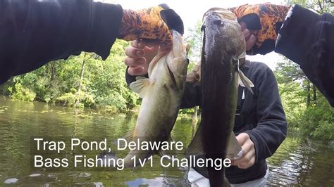 Trap Pond Delaware Bass Fishing V Challenge Youtube