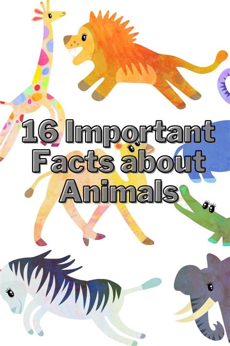 interesting facts, important facts, animals Fun Facts About Animals ...