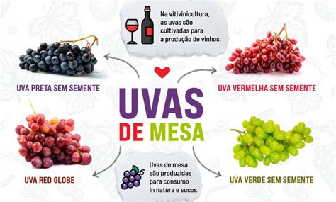 Os benefícios das uvas e 5 receitas de sobremesas com a fruta ...