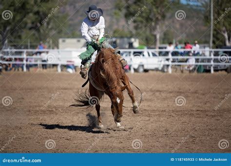 Bareback Bucking Bronc Riding At Country Rodeo Stock Image Image Of