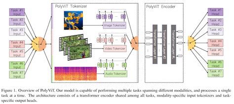 ビジョン用基盤モデルの最前線と AI で進む大統一とは