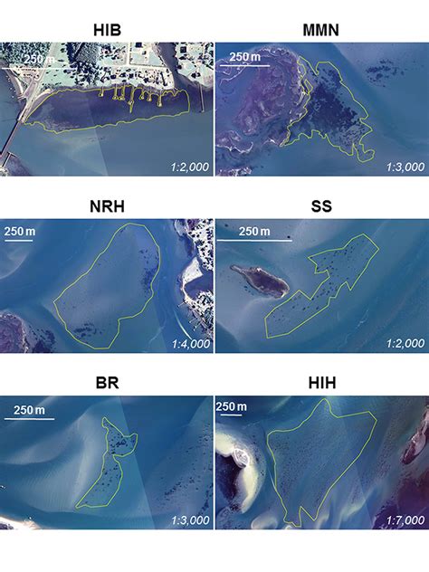 NOAA Scientist Helps Make Mapping Vital Seagrass Habitat Easier and ...