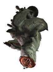 Monster hunter - Capcom Photo (6193571) - Fanpop