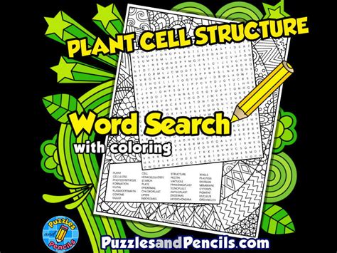 Plant Cell Structure Word Search Puzzle With Colouring Plant Biology