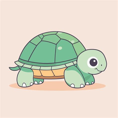 Premium Vector Cute Turtle Tortoise Cartoon Illustration Vector