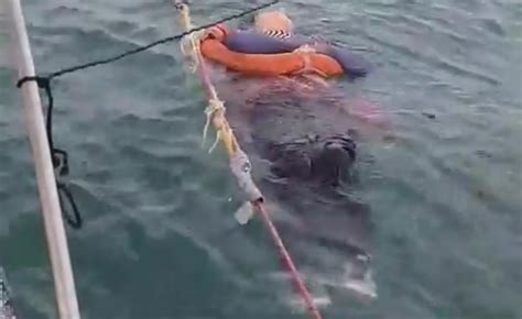 Colombia Encuentran Viva Y Flotando En El Mar A Una Mujer Desaparecida