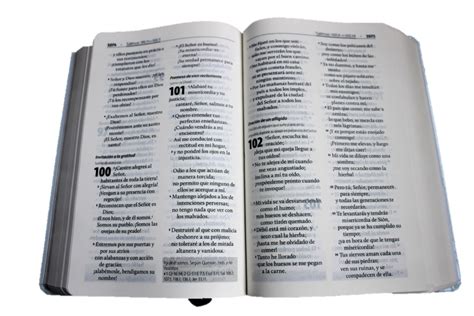 Biblia De Estudio Para Hombres Andr S Tapa Dura RVC Libreria 247