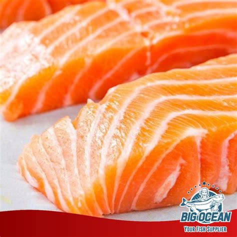 Jual Salmon Fillet Norwegian Salmon Premium Trout 1 Kg Kota