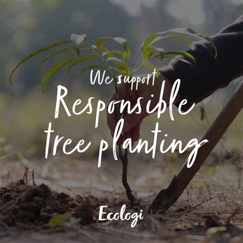 Planting Trees With Ecologi Dignity Pet Crematorium