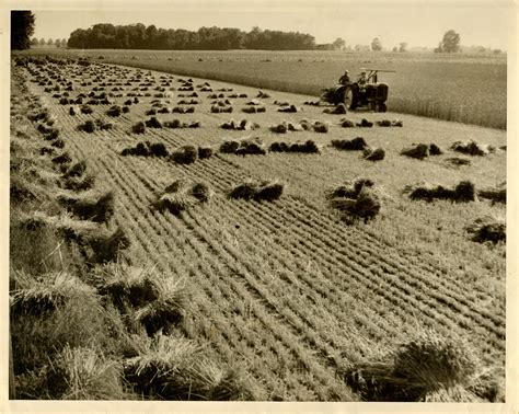 Turning The Farming Clock Back In Time Means More Expensive Food