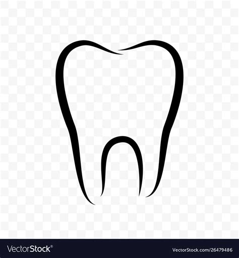 Tooth Outline Icon Dentistry Clinic Whitening Vector Image