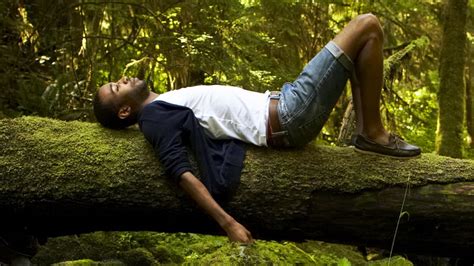 Inside The Health Benefits Of Forest Bathing