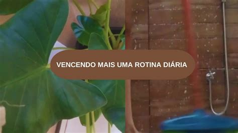 Video De Rotina Lavei Banheiro Agoei As Plantas E Mais YouTube