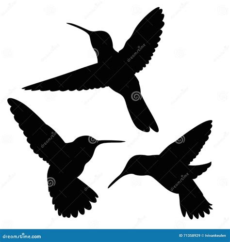 Hummingbird Silhouette Set Stock Vector Illustration Of Icon 71358929