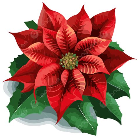 Free Poinsettia Vector Sticker Clipart Poinsettia Flower With Green