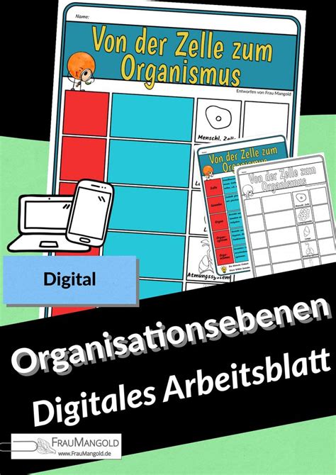 Organisationsebenen Von Der Zelle Zum Organismus Digitales