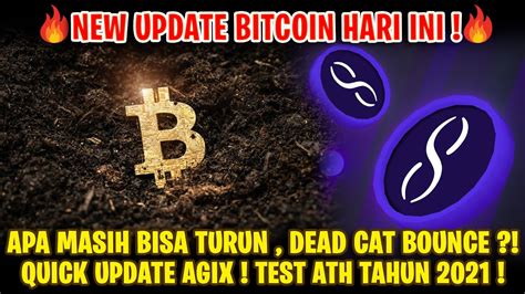 Update Bitcoin Masih Bisa Lanjut Turun Dengan Dead Cat Bounce