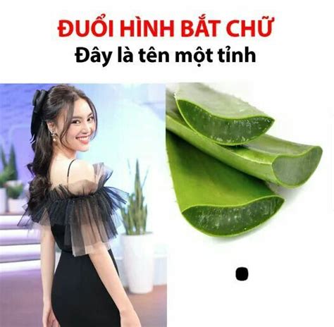 Ghim của Meiho sayhiii trên Đời Cố lên