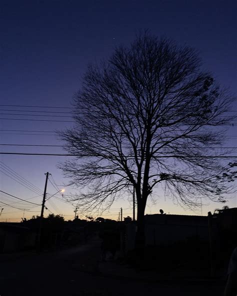 A imagem pode conter céu árvore noite planta crepúsculo nuvem