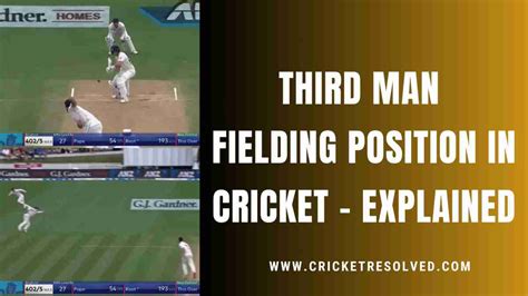 man fielding position  cricket explained