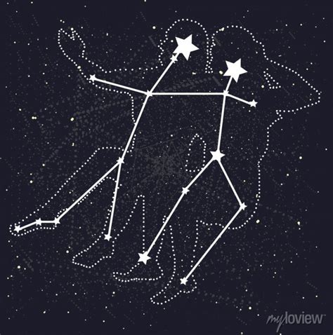 Gemini Constellation Starry Night Sky Vector Illustration Posters For