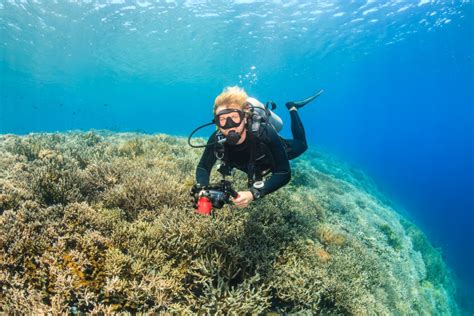 Scuba Diving At Komodo National Park