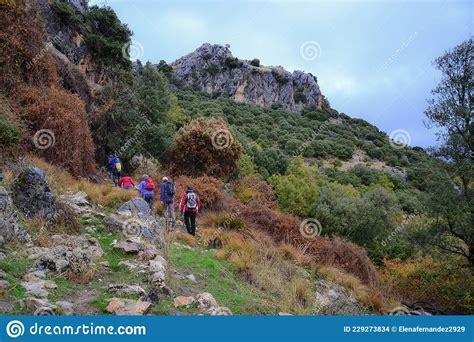 Group Of Hikers Walking Uphill On A Trail In The Sierra Of Huetor In