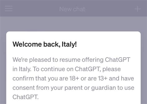 Chatgpt Funziona Nuovamente In Italia Aggiornate Le Norme Sulla Privacy