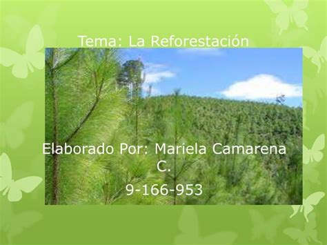 La Reforestacion Diapositivas Ppt