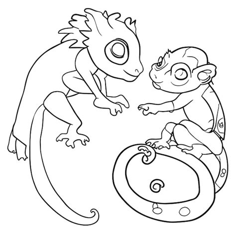 Chameleond And Lizards Coloring Pages Color The Chameleon Worksheet