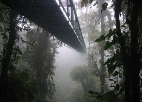 Ini 5 Jembatan Paling Mengerikan Di Dunia